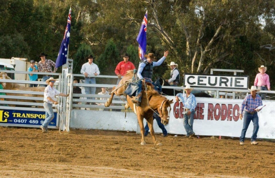Geurie Rodeo 24th September